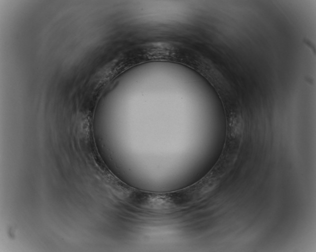 X0000103470753200809121628