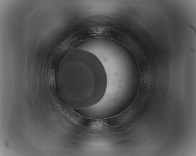 X0000103470754200809121628