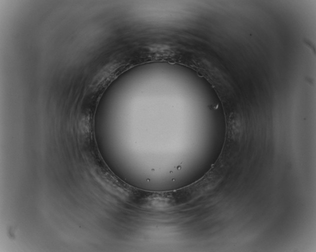 X0000103470756200809121628