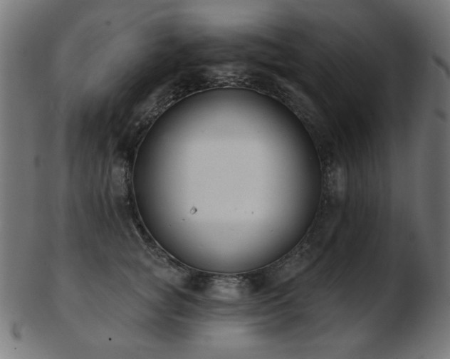 X0000103470757200809121628