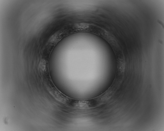 X0000103470758200809121628