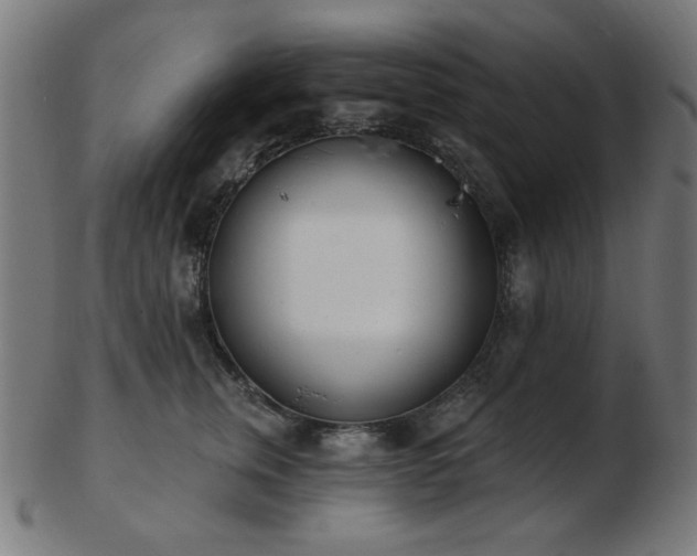 X0000103470759200809121628