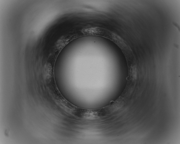 X0000103470760200809121628