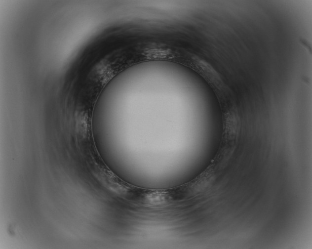 X0000103470761200809121628