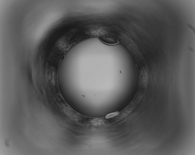 X0000103470762200809121628