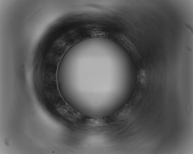 X0000103470763200809121628