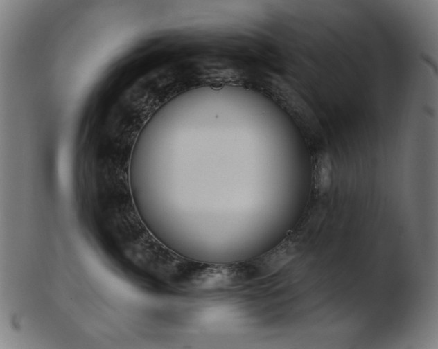 X0000103470764200809121628