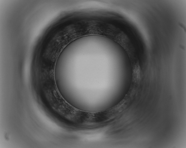 X0000103470765200809121628