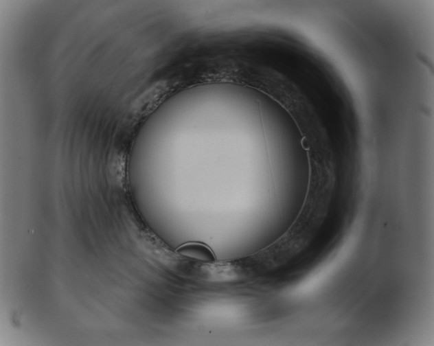 X0000103470767200809121628