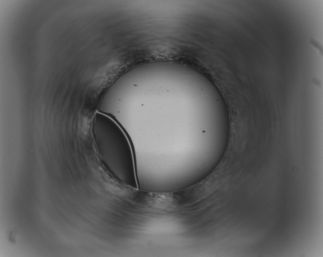 X0000103470768200809121628