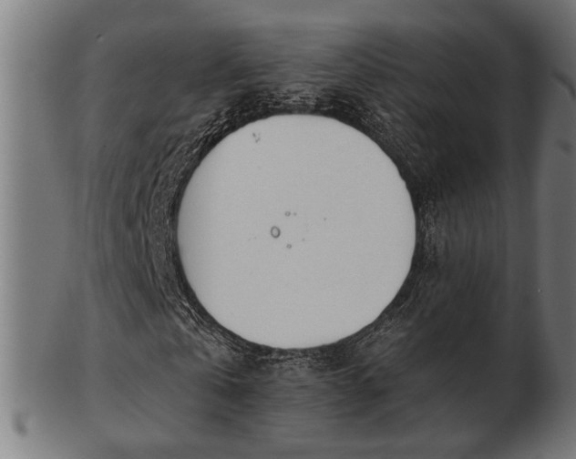 X0000103470769200809121627