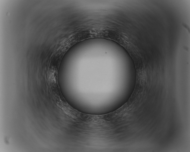 X0000103470770200809121627