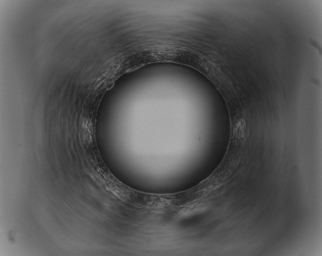 X0000103470772200809121627