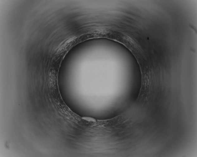 X0000103470773200809121627