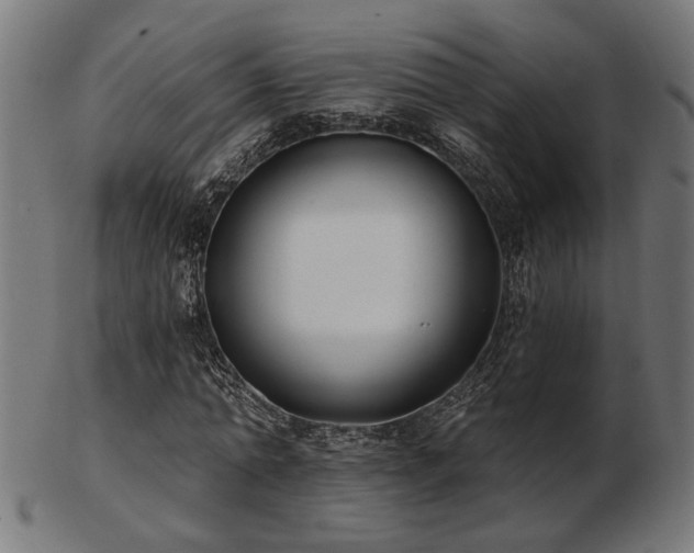 X0000103470774200809121627