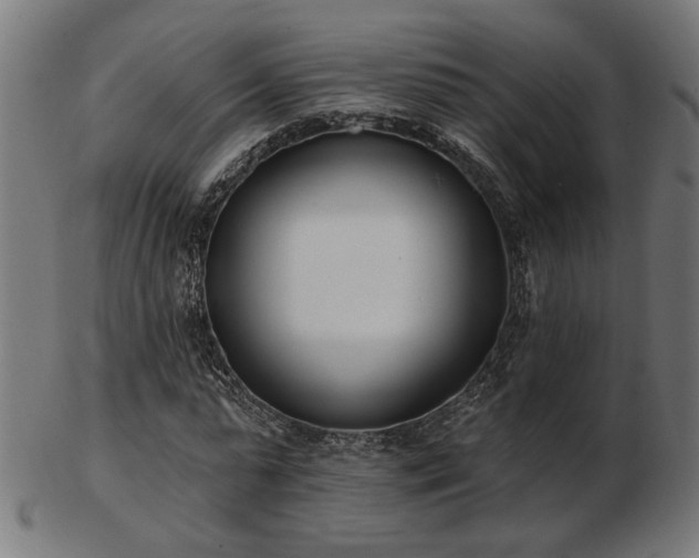 X0000103470775200809121627