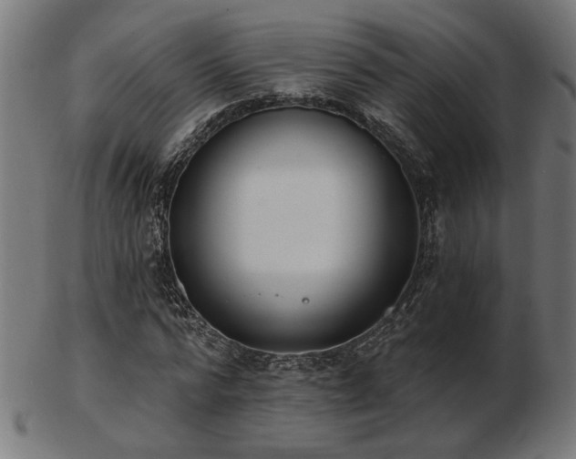 X0000103470776200809121627