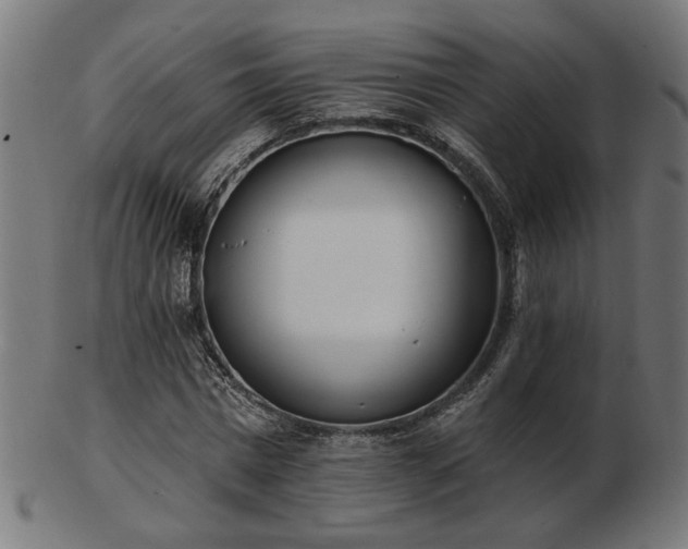 X0000103470777200809121627