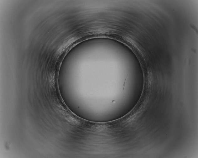 X0000103470778200809121627