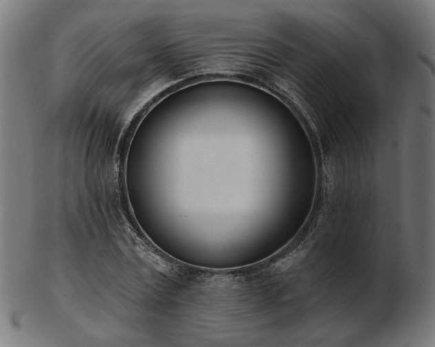 X0000103470779200809121627