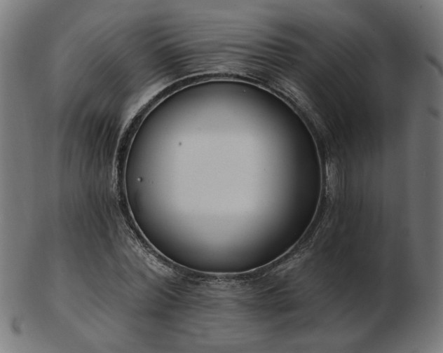 X0000103470780200809121627