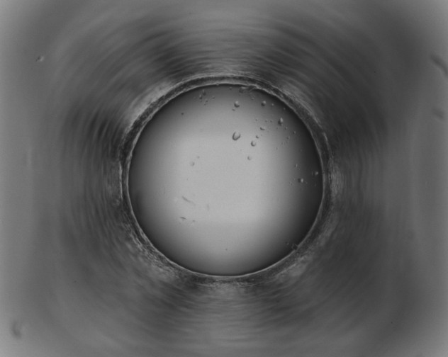 X0000103470781200809121627