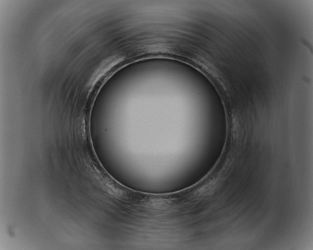 X0000103470782200809121627