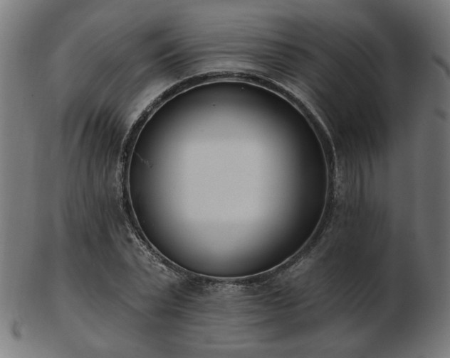 X0000103470783200809121627