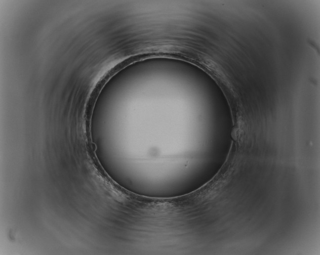 X0000103470784200809121627