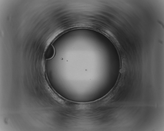 X0000103470796200809121627