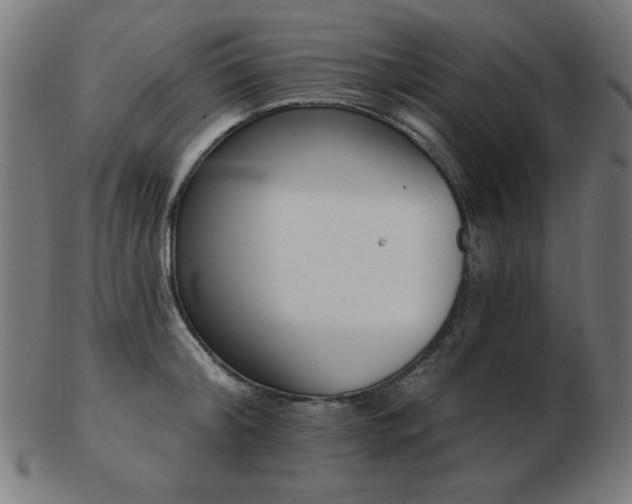 X0000103470804200809121627