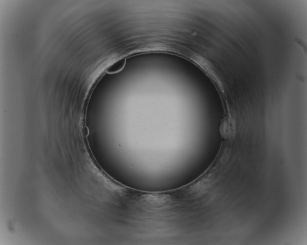 X0000103470805200809121627