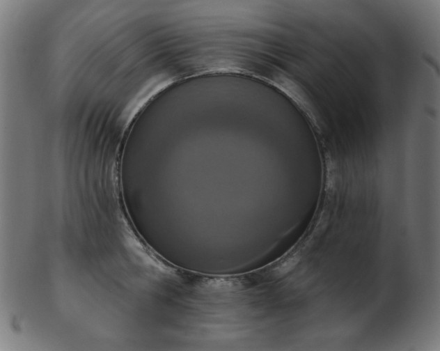 X0000103470806200809121627