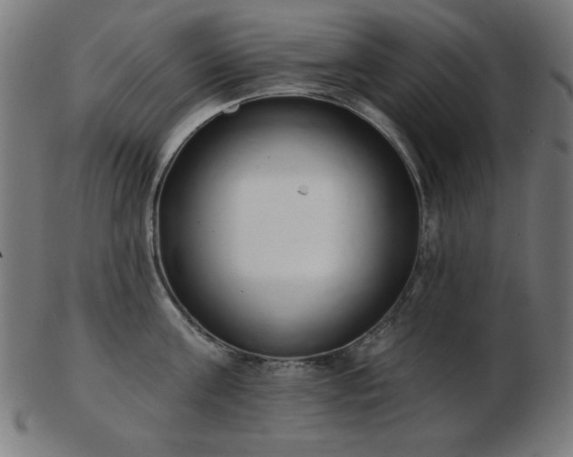 X0000103470811200809121627