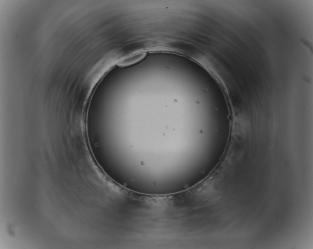 X0000103470813200809121627