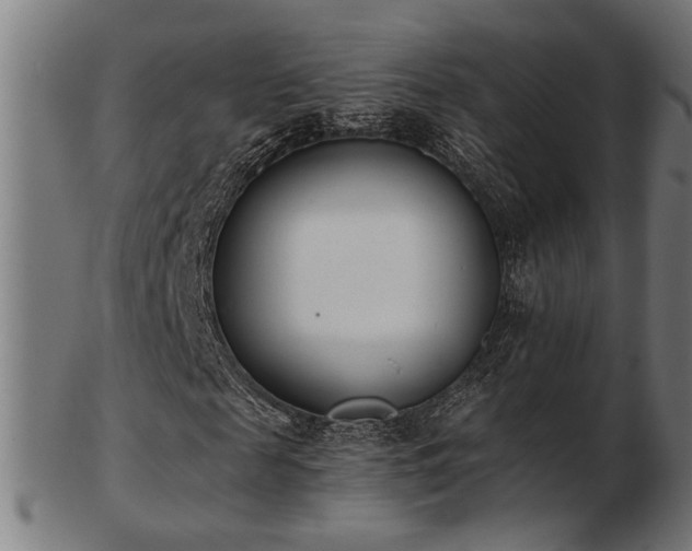 X0000103470817200809121626