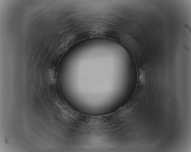 X0000103470819200809121626