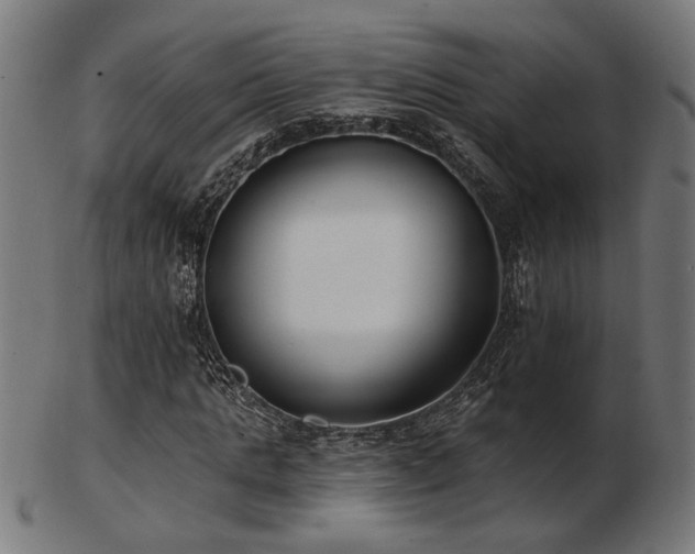 X0000103470821200809121626