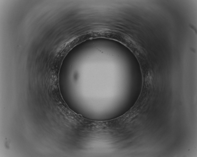 X0000103470822200809121626