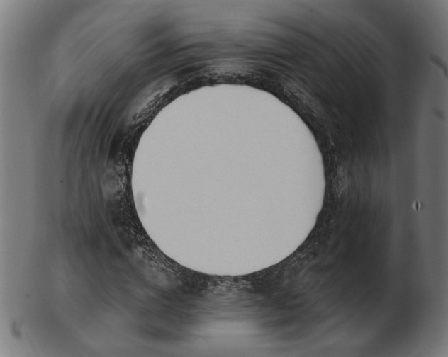 X0000103470824200809121626