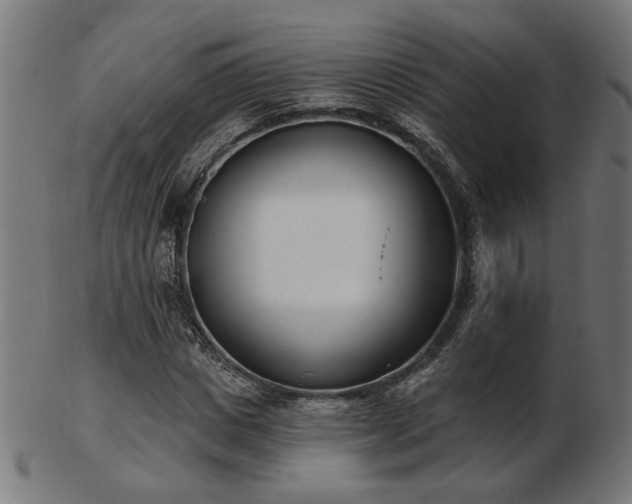 X0000103470825200809121626