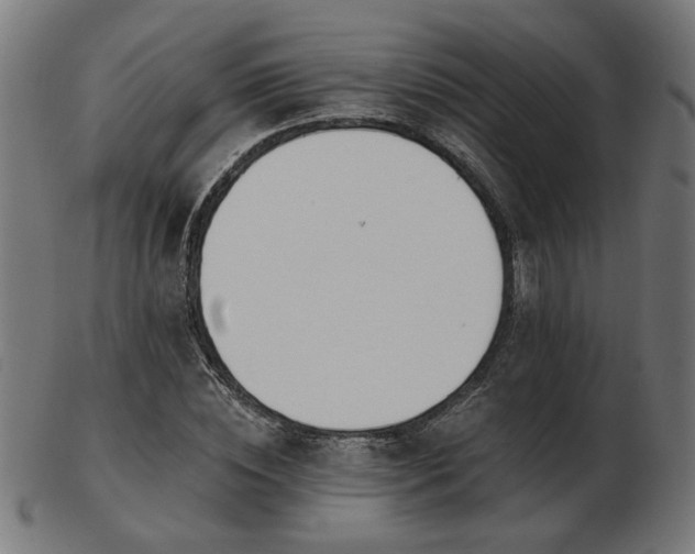 X0000103470828200809121626