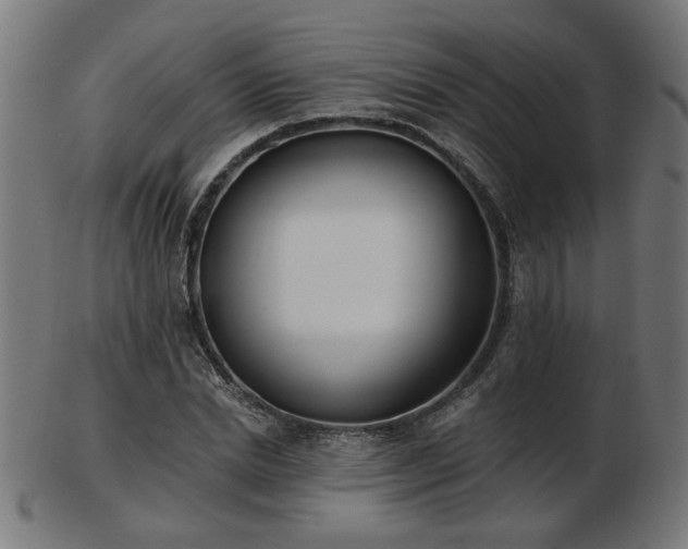 X0000103470830200809121626