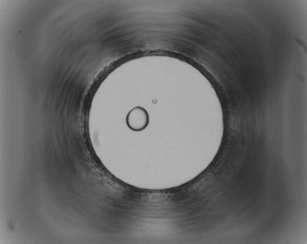 X0000103470832200809121626