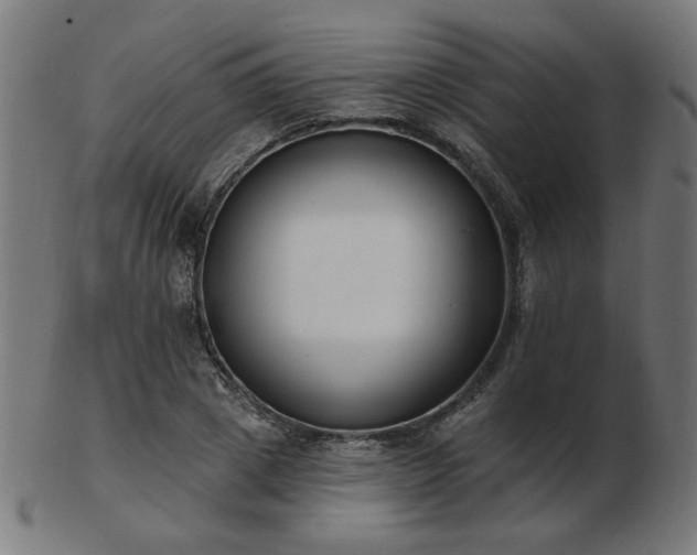 X0000103470833200809121626