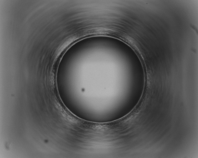 X0000103470835200809121626