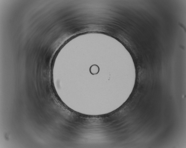 X0000103470836200809121626