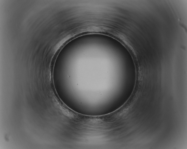 X0000103470837200809121626