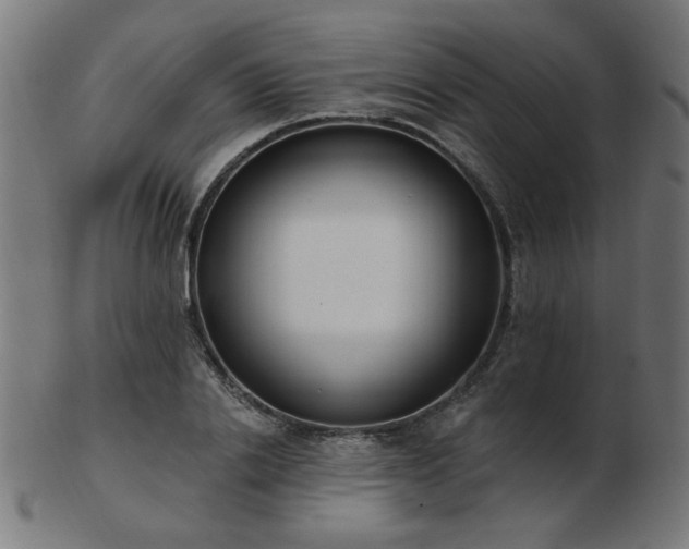 X0000103470838200809121626