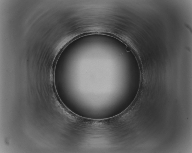 X0000103470839200809121626